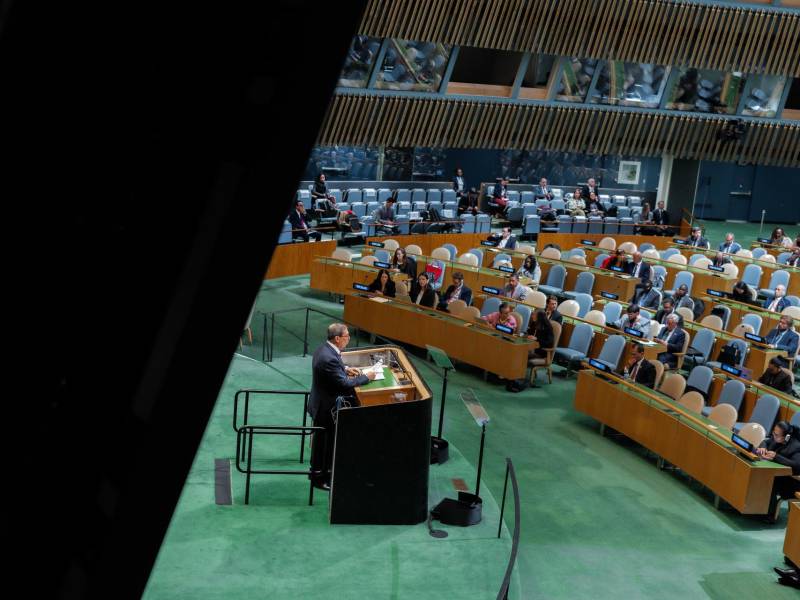Fotografía de la Asamblea General de la ONU.