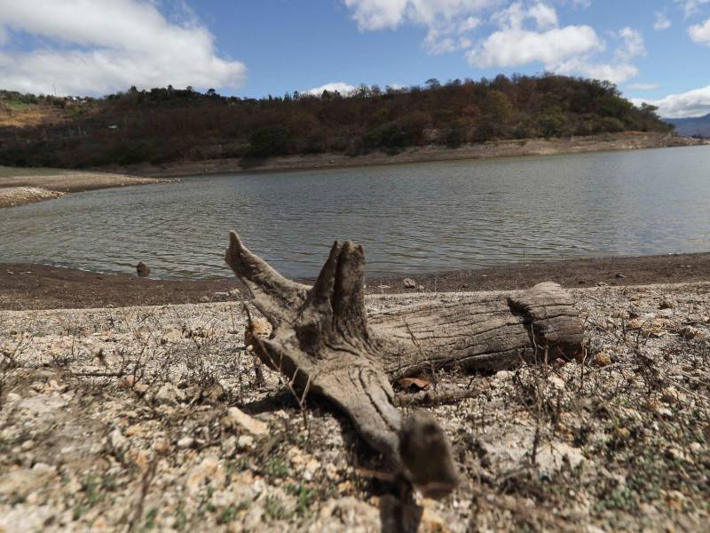 Se alcanzarán grados entre 36 hasta 42, dependiendo la zona del país.