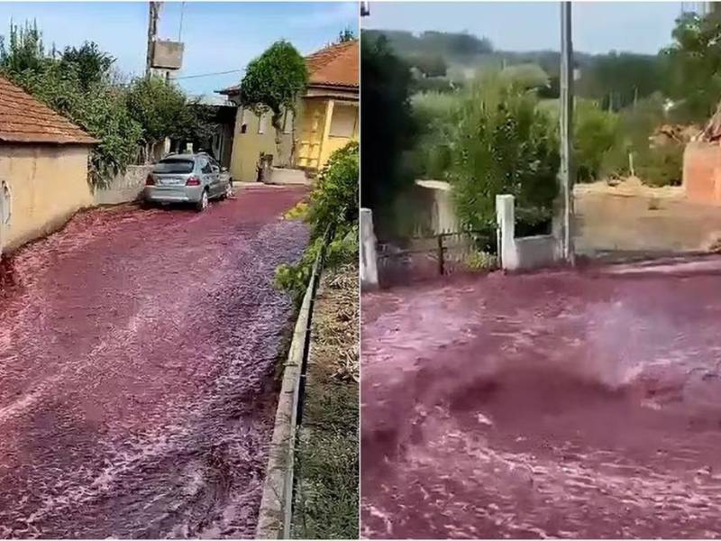 Video: Río de vino tinto inunda ciudad de Portugal