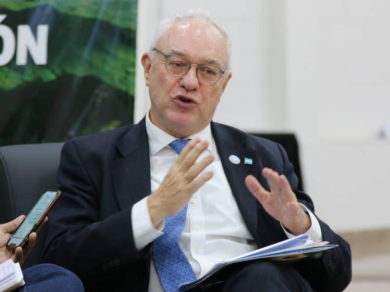 Mario Lubetkin, subdirector de la FAO.