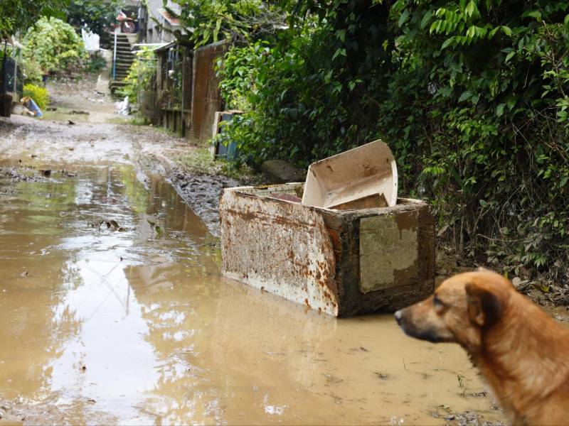 Fotografía en la que se observa una zona aledaña al lago de Yojoa afectada por inundaciones en las últimas semanas.