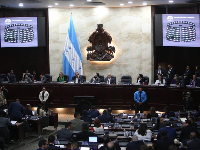 Hugo Noé Pino llamó atención a diputados por baja asistencia