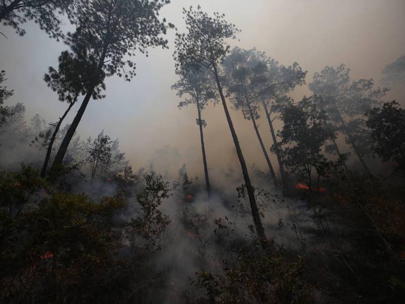 Un incendio de grandes proporciones movilizó a 40 elementos del Cuerpo de Bomberos de Honduras junto con cuatro unidades y personal de la Fuerza Aérea el lunes en la zona de amortiguamiento de la zona protegida del Parque Nacional montaña La Tigra en el municipio del Distrito Central.