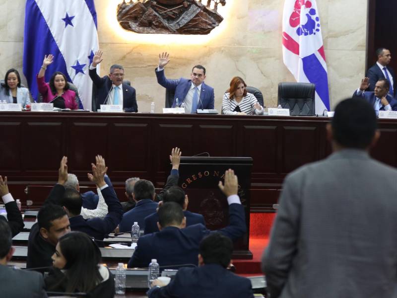 Sesión legislativa en la que se aprobó el presupuesto ayer en el Congreso Nacional.