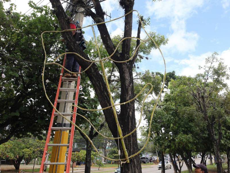 Así preparan los trabajadores municipales la ciudad e instalan estructuras en el bulevar Suyapa para el carnaval en Tegucigalpa.