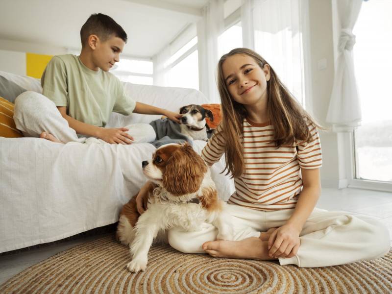 Por la salud de su familia, mantenga aseados a sus perros, sobre todo si pasan dentro de la casa.