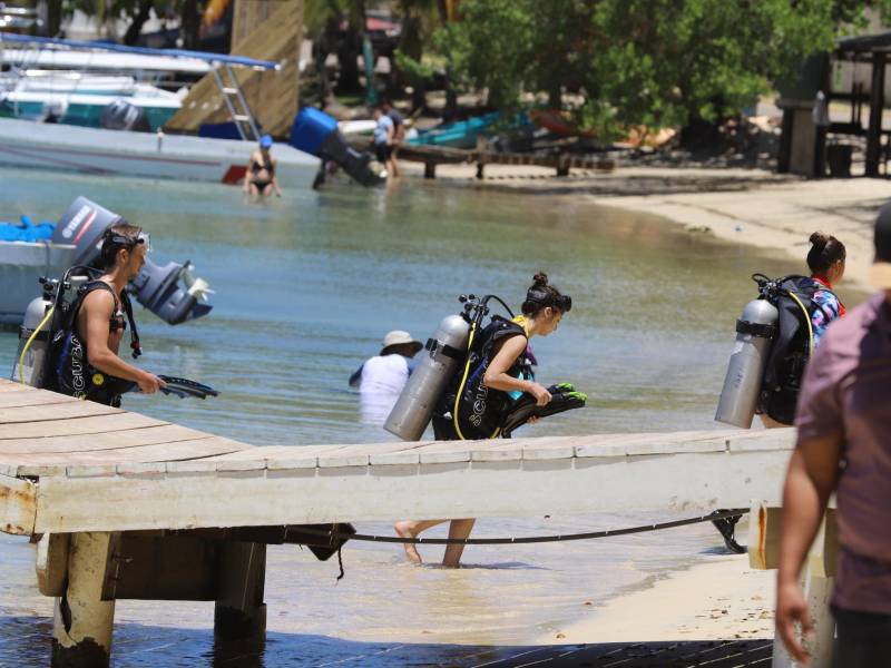 Cada vez son más las personas de varias nacionalidades que exploran las maravillas marinas y escogen Roatán por ser uno de los mejores sitios del mundo para bucear.