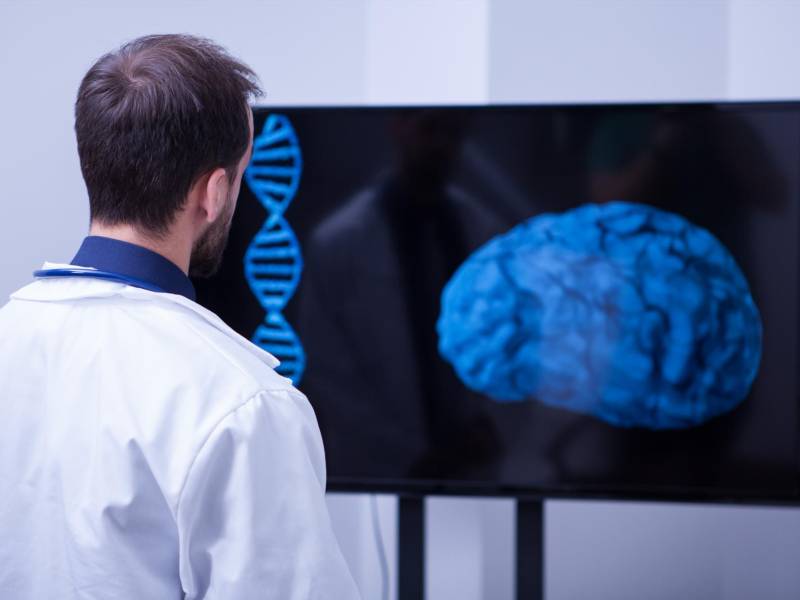 La evolución del tumor cerebral es muy rápida y muchas veces el desenlace fatal llega entre 9 y 12 meses después de la detección del <b>tumor</b>.