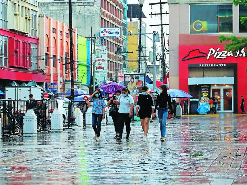 Esperan que las condiciones climáticas sean favorables para la siembra en 2023