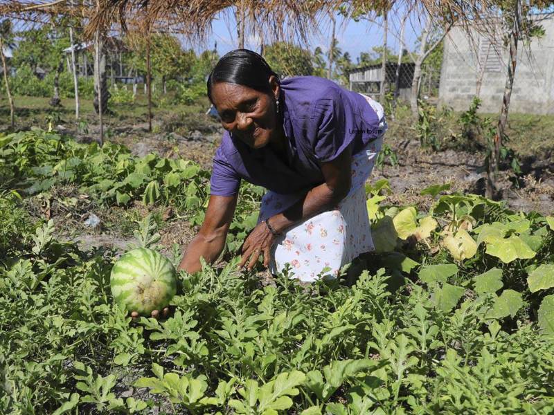 Las tasas de analfabetismo son más altas en las mujeres, especialmente en las zonas rurales. EFE