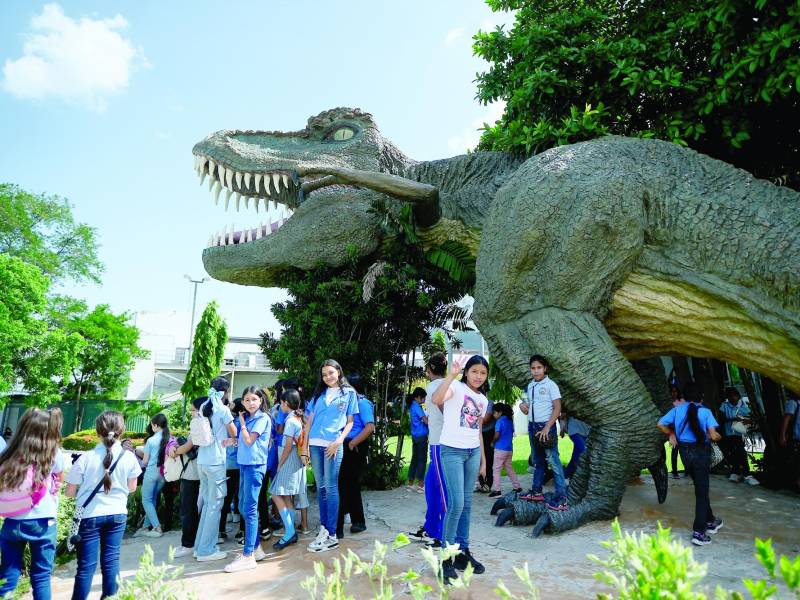 Aventura jurásica - Los niños vivirán una increíble experiencia al ver las réplicas de gigantes animales del pasado, tales como el dinosaurio que se encuentra en la entrada del museo.