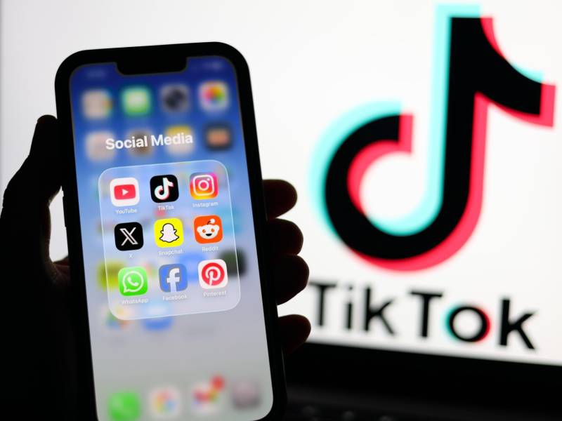 Imagen de referencia.