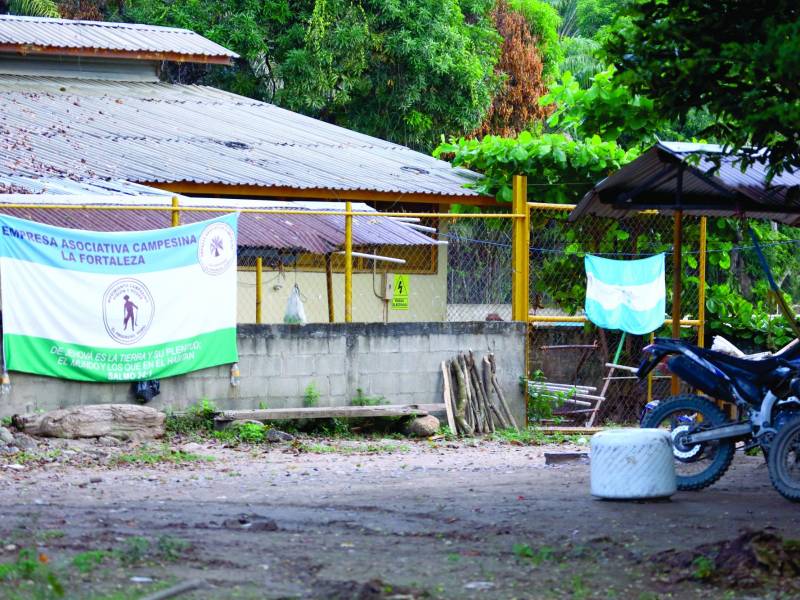 Las fincas invadidas están marcadas con la bandera de Honduras, mientras que adentro se observan hombres en motocicletas que andan cargando los camiones de fruta que cortan de la palma.