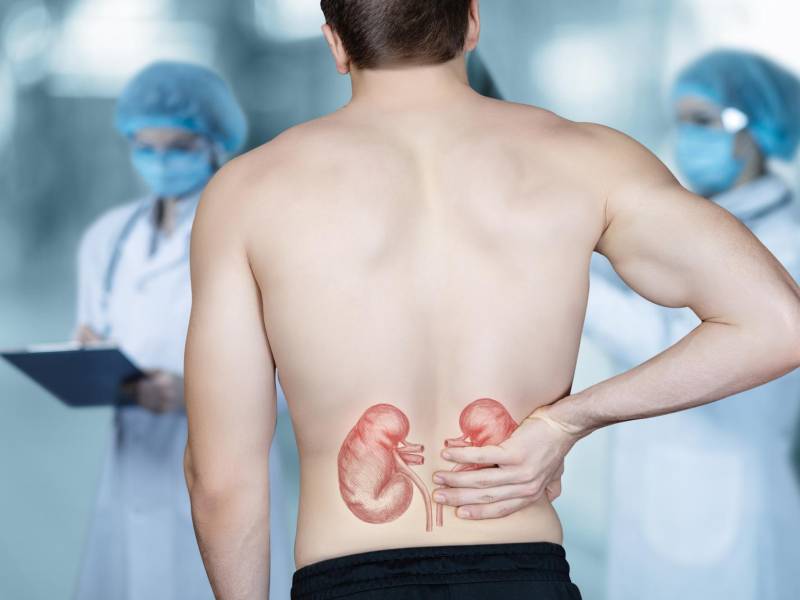 Cuide su alimentación para evitar los molestos cálculos renales.