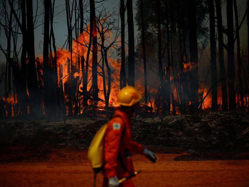 El cambio climático vuelve más comunes los incendios forestales. Un incendio en el Bosque Nacional de Brasilia.