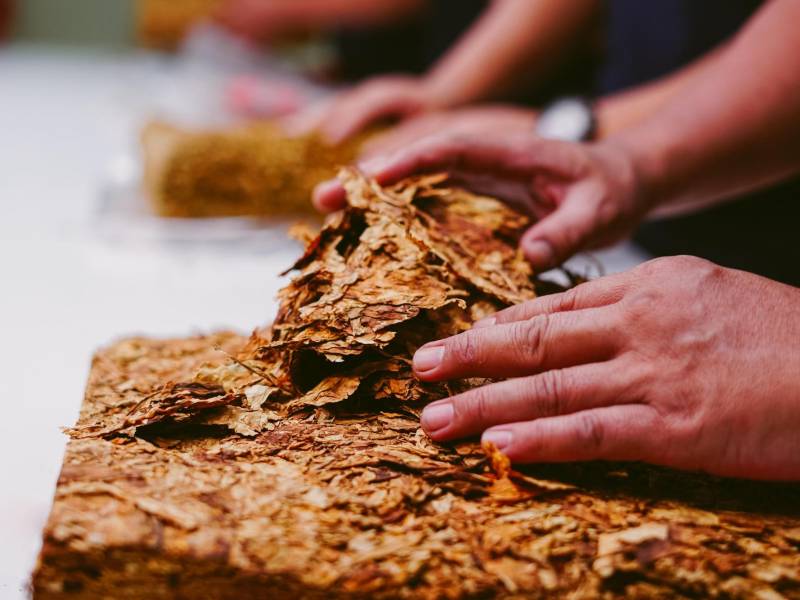 Honduras abrió relaciones diplomáticas con China en 2023 y rompió los nexos que desde el siglo pasado mantenía con Taiwán.