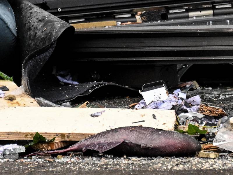 Un acuario gigante estalló el viernes en el patio de un prestigioso hotel de Berlín, desatando un ‘tsunami’ de agua que arrasó el vestíbulo, dejó dos heridos y provocó la muerte de cerca de 1,500 peces tropicales.