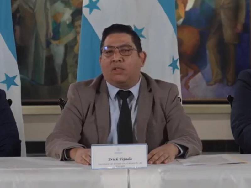 El ministro de Energía, Erick Tejada, durante la cadena nacional.