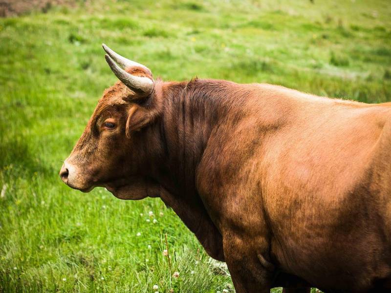 El fatal incidente ocurrió en Catacamas, Olancho (Honduras).