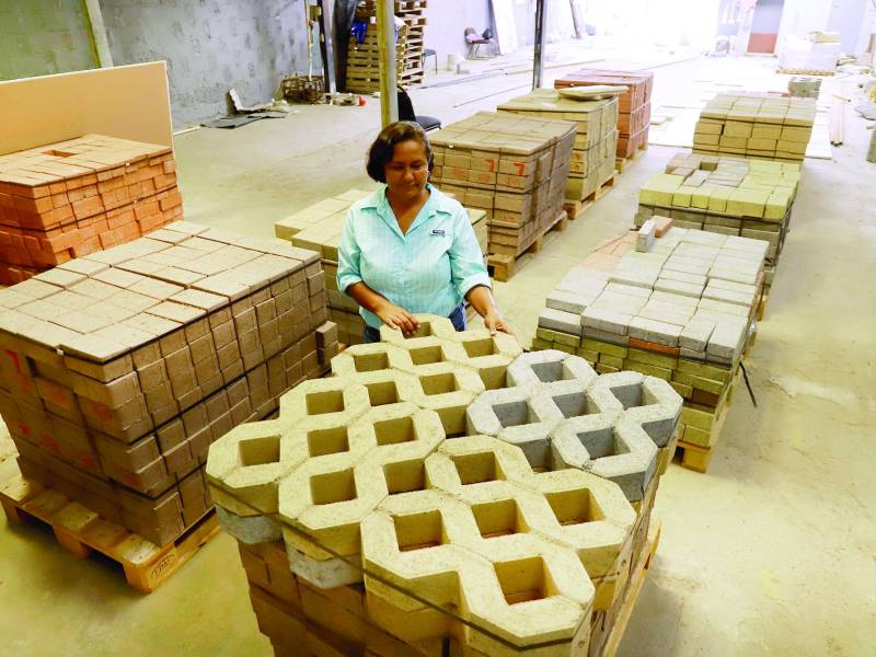 Antonia Solórzano es microempresaria y registró su empresa en línea. Foto: Melvin Cubas.