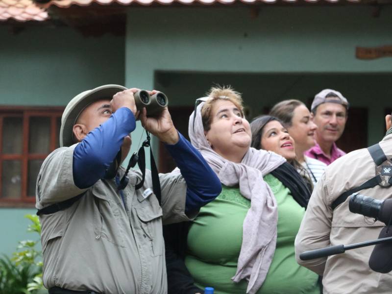 Un grupo de observadores de aves aprecian un buho pigmeo en Yamaranguila, Intibucá.