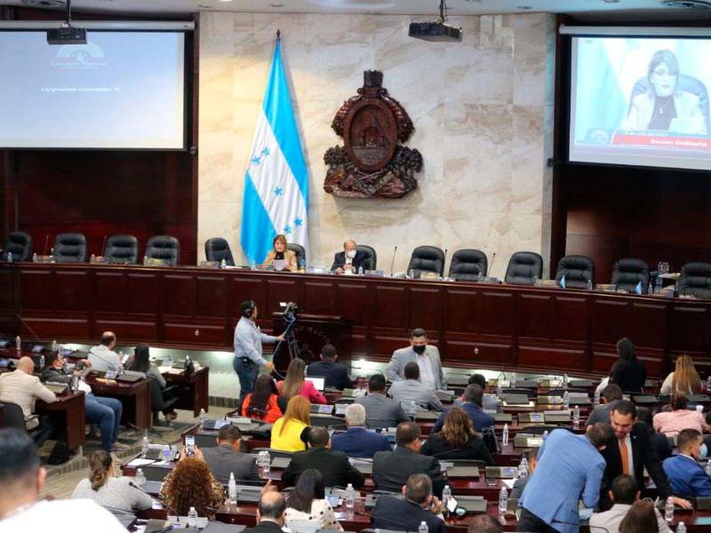 <b><span class=mln_uppercase_mln>Legislativo.</span></b> Desde sectores económicos, políticos y el Congreso Nacional se manifestaron en contra de la aprobación de la iniciativa impulsada por el Gobierno.