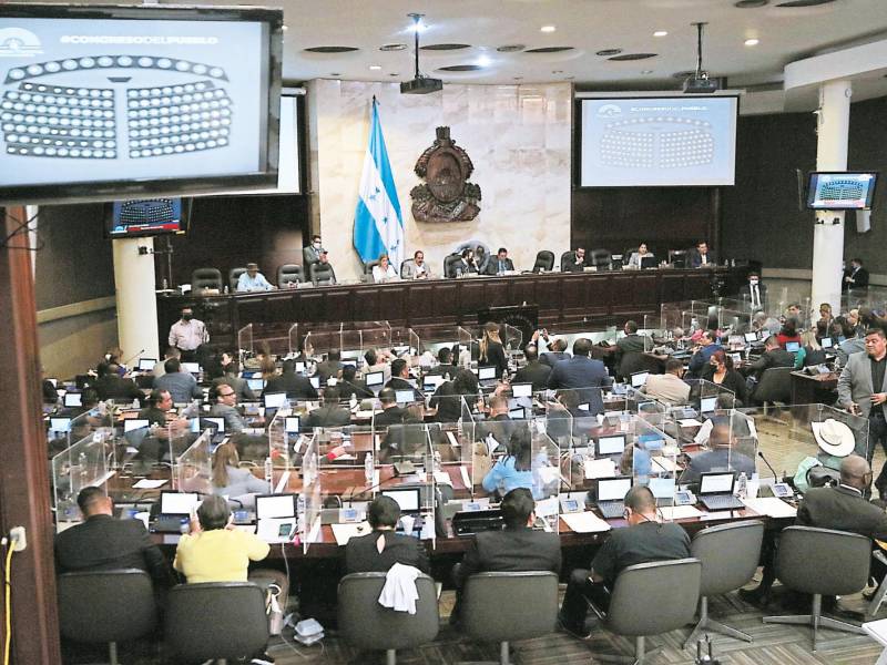 <b><span class=mln_uppercase_mln>congreso.</span></b> Libre propuso aprobar la iniciativa en un único debate, pero fue bloqueado por la oposición.<span class=mln_uppercase_mln> </span>