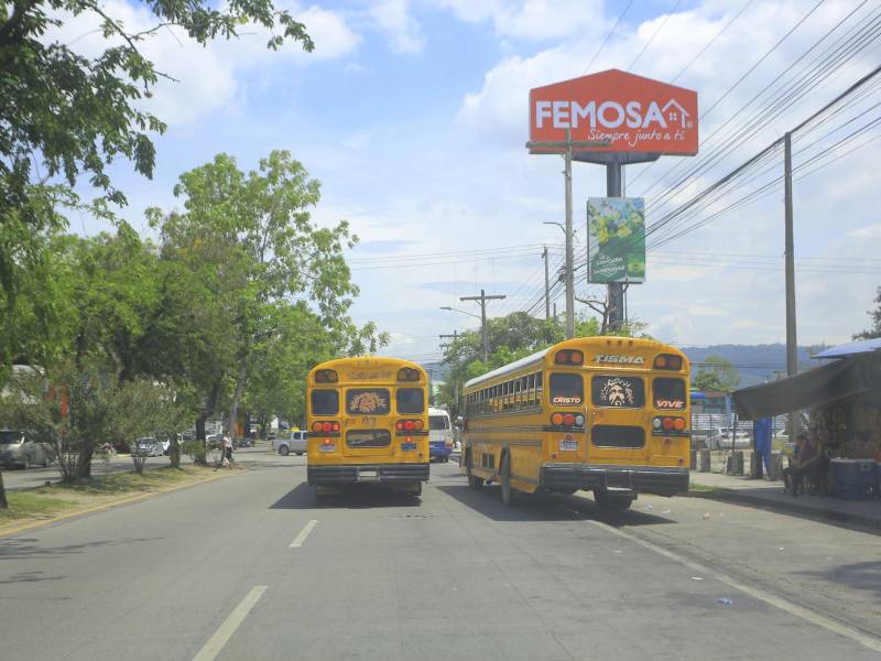 La Uttu realizó un recorrido por el sector y su director asegura que tomarán medidas para evitar el desroden y que se cumpla la Ley y las ordenanzas municipales.