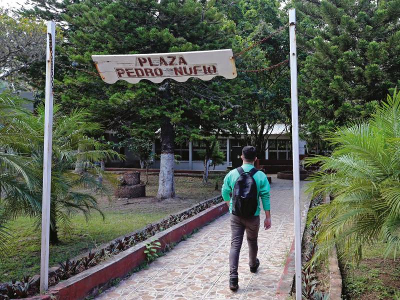 <b><span class=mln_uppercase_mln>Sistema.</span></b> Cada escuela normal contará con 70 estudiantes matriculados, asimismo, se contratará a seis docentes por centro.<span class=mln_uppercase_mln> </span>