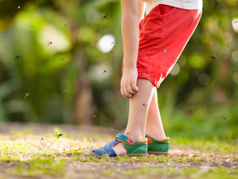 Use repelente para prevenir el dengue