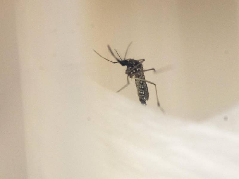 La Secretaría de Salud hizo un llamado a la población para que se involucre activamente en medidas preventivas.