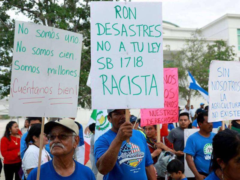 Cientos de personas se han movilizado en Florida en contra de la ley.