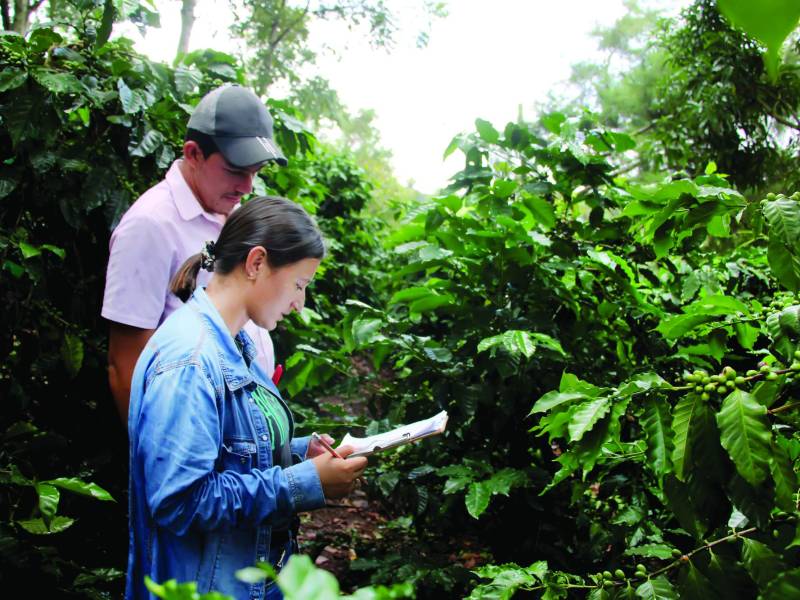 Las pruebas se realizan en 7 centros de investigación en todo el país.