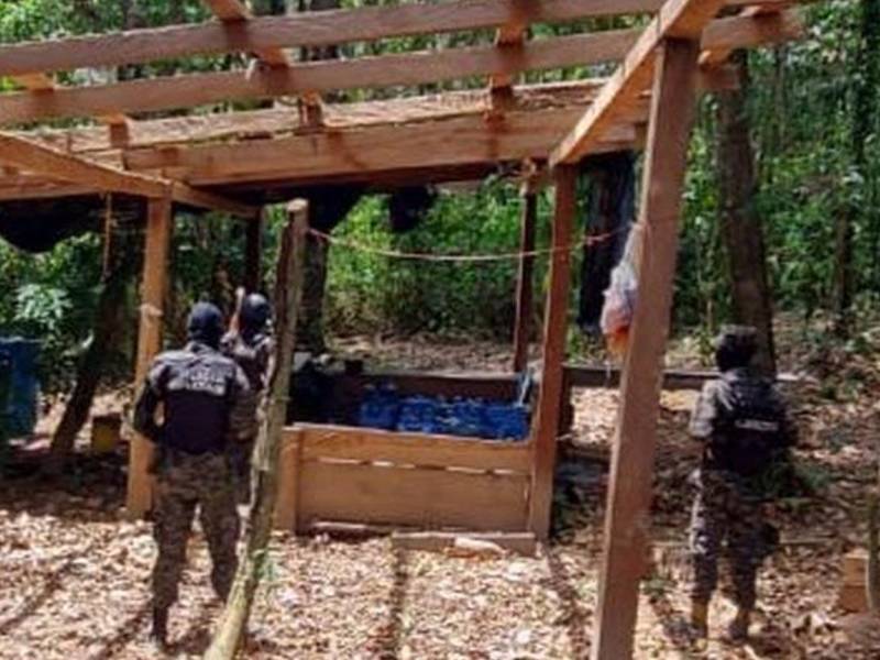Las plantaciones fueron localizadas por miembros de la Policía Militar de Orden Público (PMOP) y la Fuerza Aérea de Honduras.