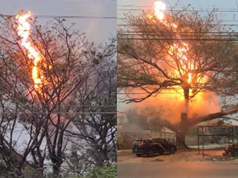 Video: Altas temperaturas provocan incendios en San Pedro Sula