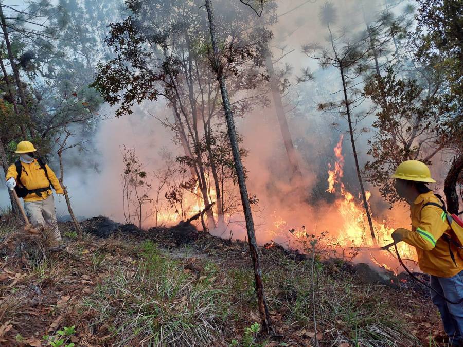 Este miércoles, todos los voluntarios permanecerán durante día y noche custodiando para que el incendio forestal no avance hacia otros sectores, donde ya fue controlado.