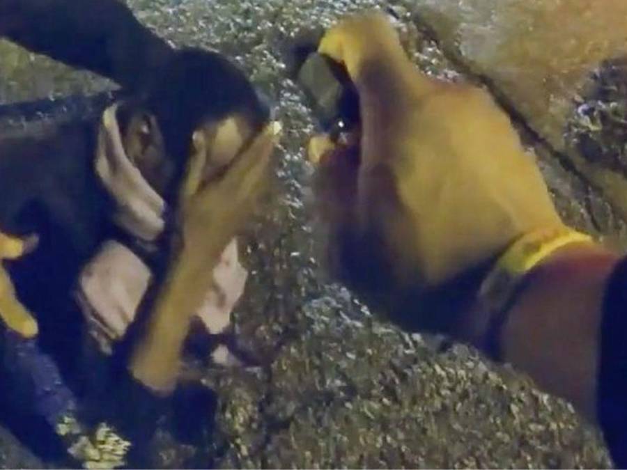 Los videos, obtenidos de las cámaras corporales de los agentes y una cámara de vigilancia situada en la calle, rememoran los minutos de angustia y miedo que vive Nichols quien, grita desesperado llamando a su madre durante la agresión. 