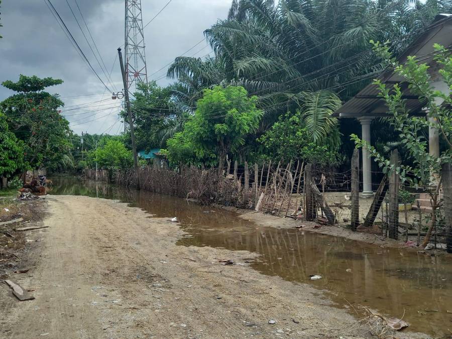 Los bordos no son lo suficientemente fuertes para soportar las corrientes.