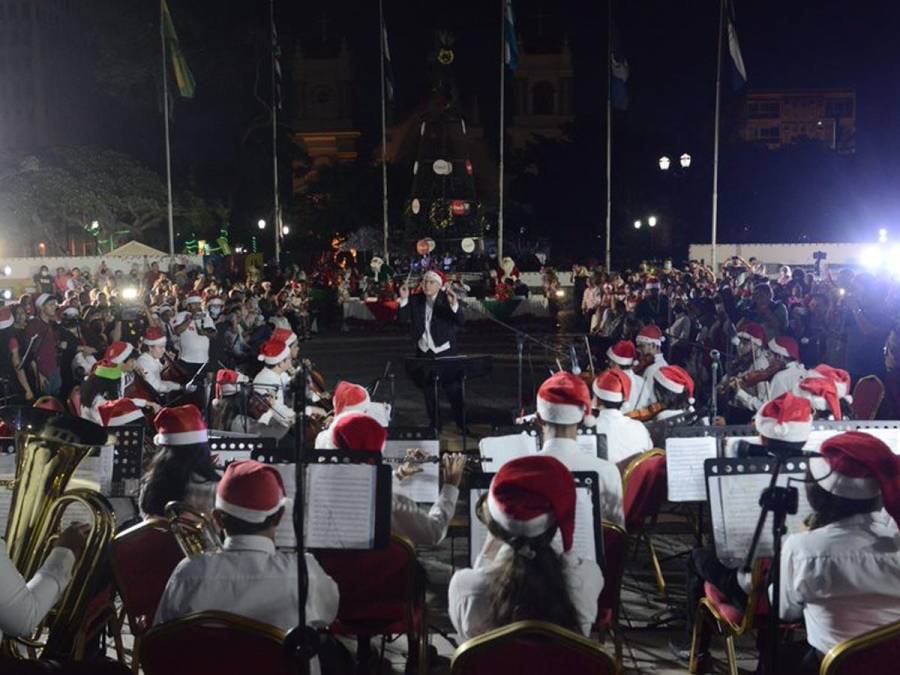 San Pedro Sula enciende su árbol de Navidad