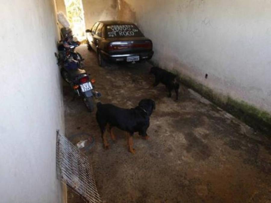 Tiró el cadáver a los perros: El dantesco crimen de portero