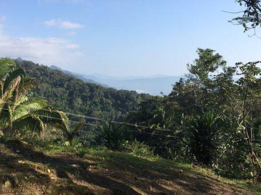 Sunida - Miramelinda: La cordillera de El Merendón, situada al oeste del valle de Sula, contiene diversas rutas para practicar el senderismo y ciclismo de montaña. La comunidad de Miramelinda tiene accesos inclinados a 25 y hasta 30 grados de pendiente. Ideal para autodesafiarse y subir esas pendientes. La vista desde la cima es hermosa para contemplar la ciudad de San Pedro Sula. El trayecto es corto, pero exigente. Requiere buen ritmo de respiración y concentración en trayectos sinuosos e inclinados. Pero muy entretenido y lleno de adrenalina en su recorrido.