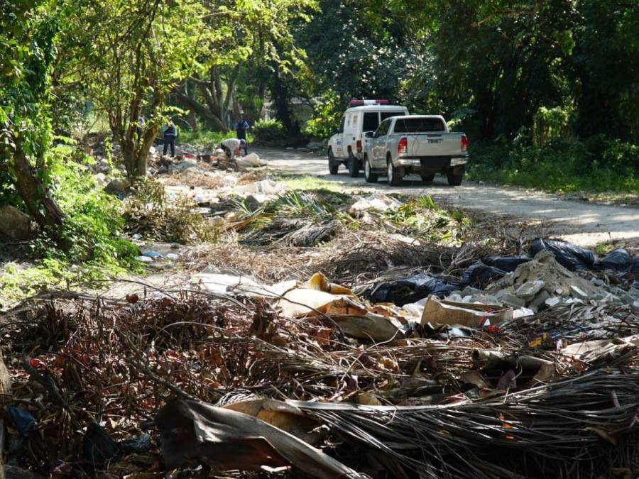 Descuartizado: el terrorífico hallazgo de vecinos en San Pedro Sula