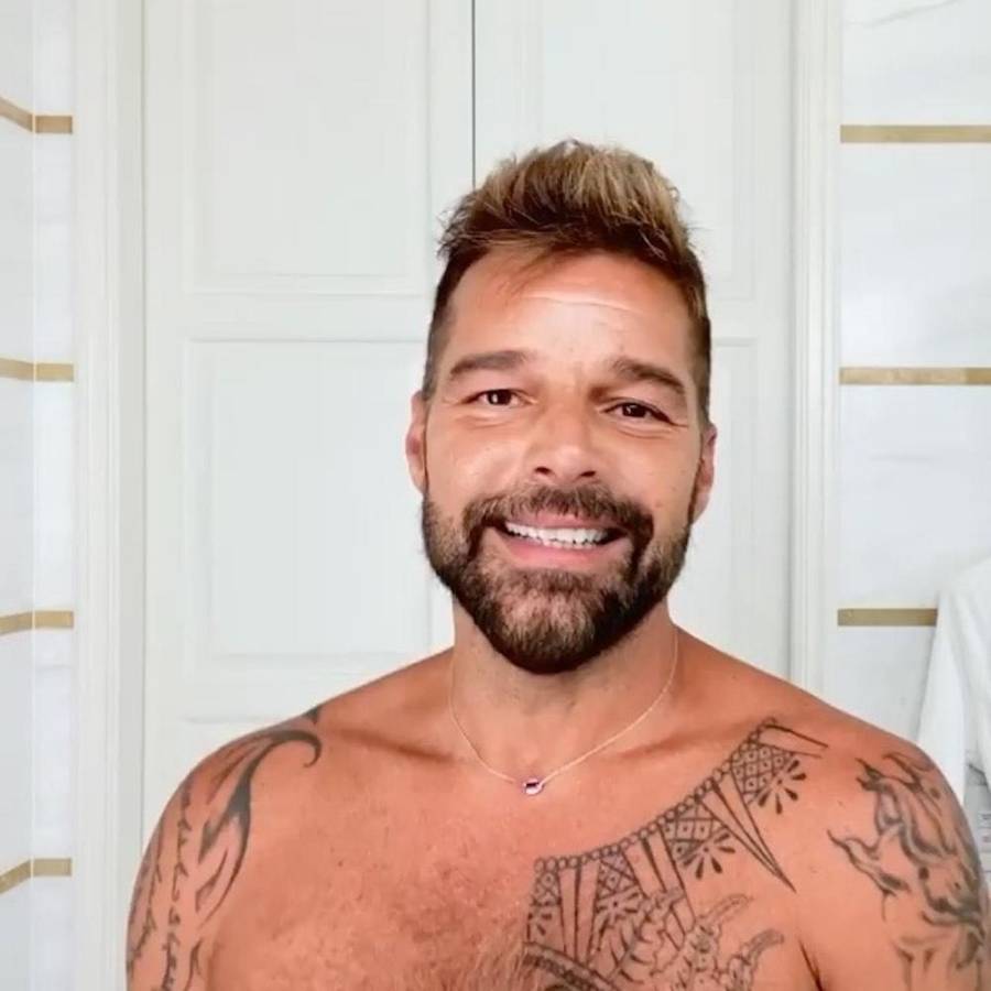 Emiten orden de protección contra Ricky Martin por la ley de violencia doméstica