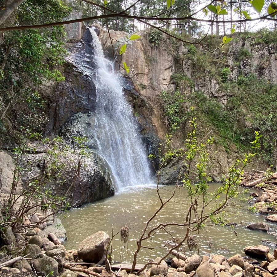 El Pital, en La Iguala, Lempira, es atractivo de la región occidental.