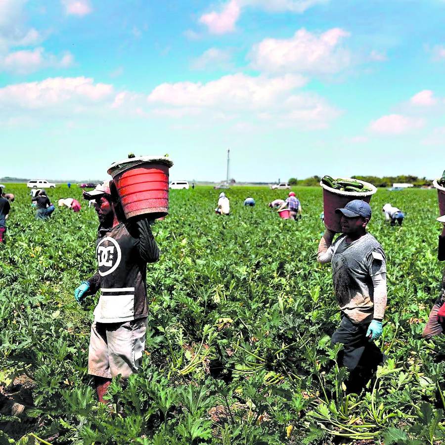 Hondureños empiezan a salir de Texas y Florida por leyes antiimigrantes
