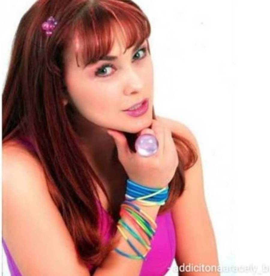 'La Chule' como popularmente le dicen nació en la ciudad de Chihuahua y desde muy pequeña participó en concursos de belleza. <br/><br/>En 1996, Aracely fue nombrada como Rostro del Heraldo de México, con lo que su carrera comenzó a emerger.<br/><br/>