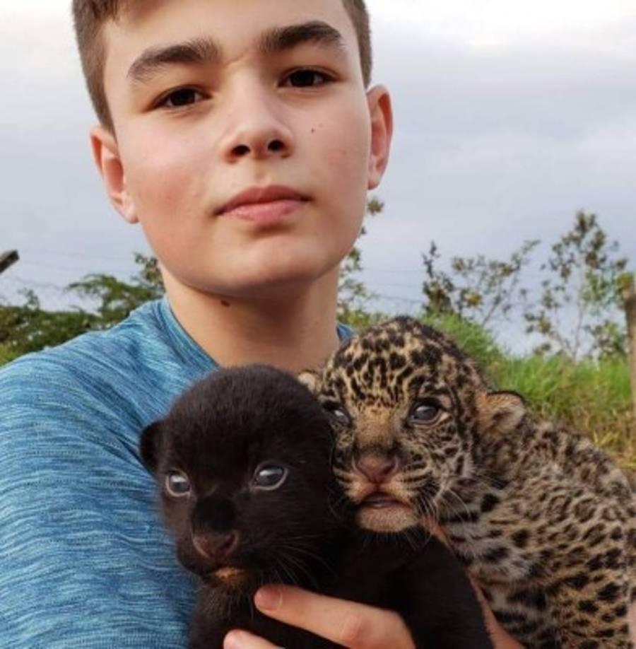 Muchos tacharon la publicación de falsa, asegurando que se trataba de una nota falsa, lo cierto es que se ha revelado la autenticidad de la imagen. Además de ser real hay otras imágenes aún más impactantes del joven brasileño Tiago Silveira quien es el protagonista de esta imagen.