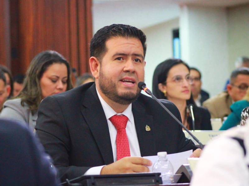 Iniciativa del diputado José Rolando Sabillón, del Partido Liberal por el departamento de Santa Bárbara.