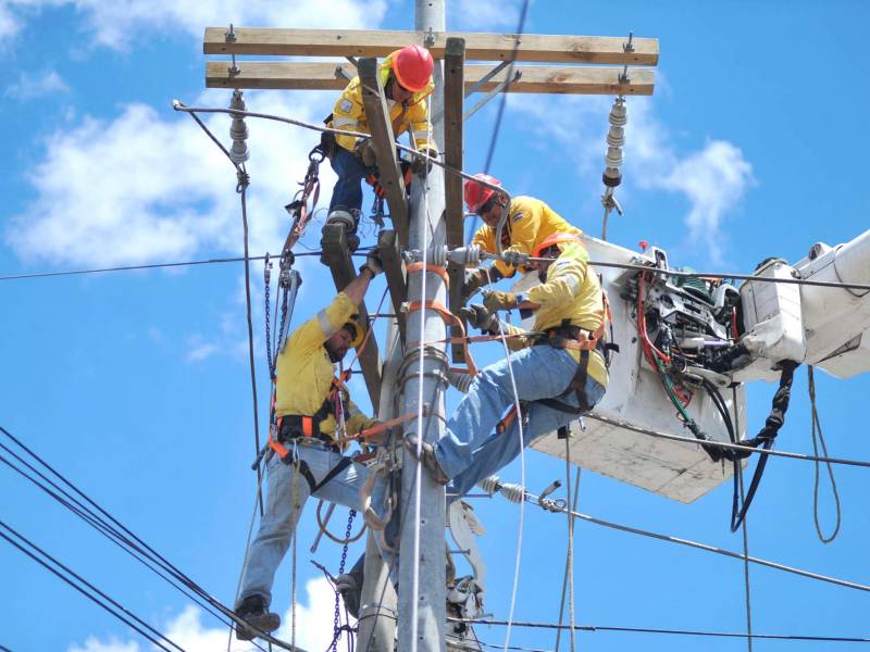 <b><span class=mln_uppercase_mln>Cuadrillas de la Empresa Energía Honduras trabajan en el mantenimiento de la red eléctrica.</span></b>