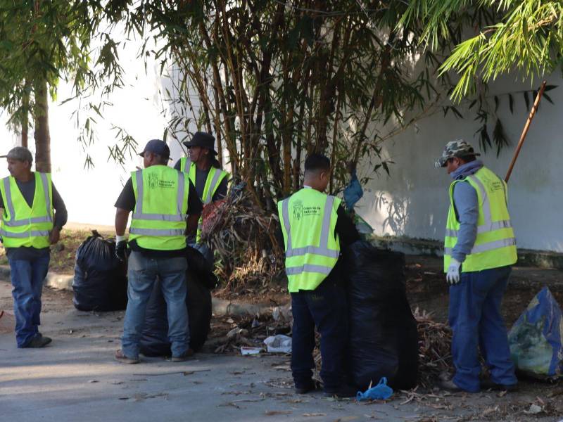 Lavaron, limpiaron, podaron, chapearon y pintaron en el parque de Las Palmas.